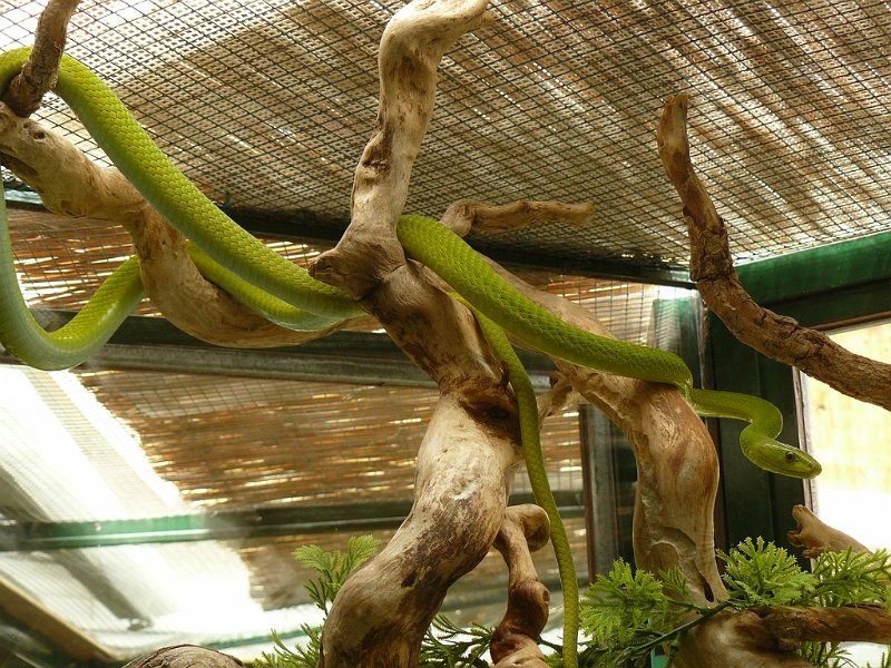 2008 05 Séjour à Martel 83